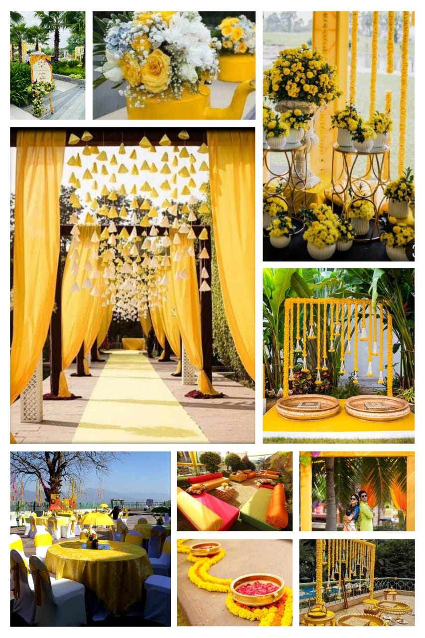 WhatsApp Image 2024-09-17 at 18.05.23_c69fa8fc